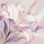 百合花語
