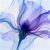 桔梗花語